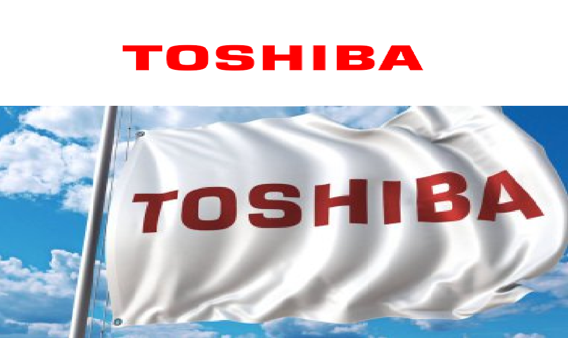 İzmir Torbalı Toshiba Kombi Klima Servisi